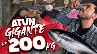 Thumbnail image for ¡Así preparan un ATUN GIGANTE DE 200KGS! FT. Oscar de "La Capital"