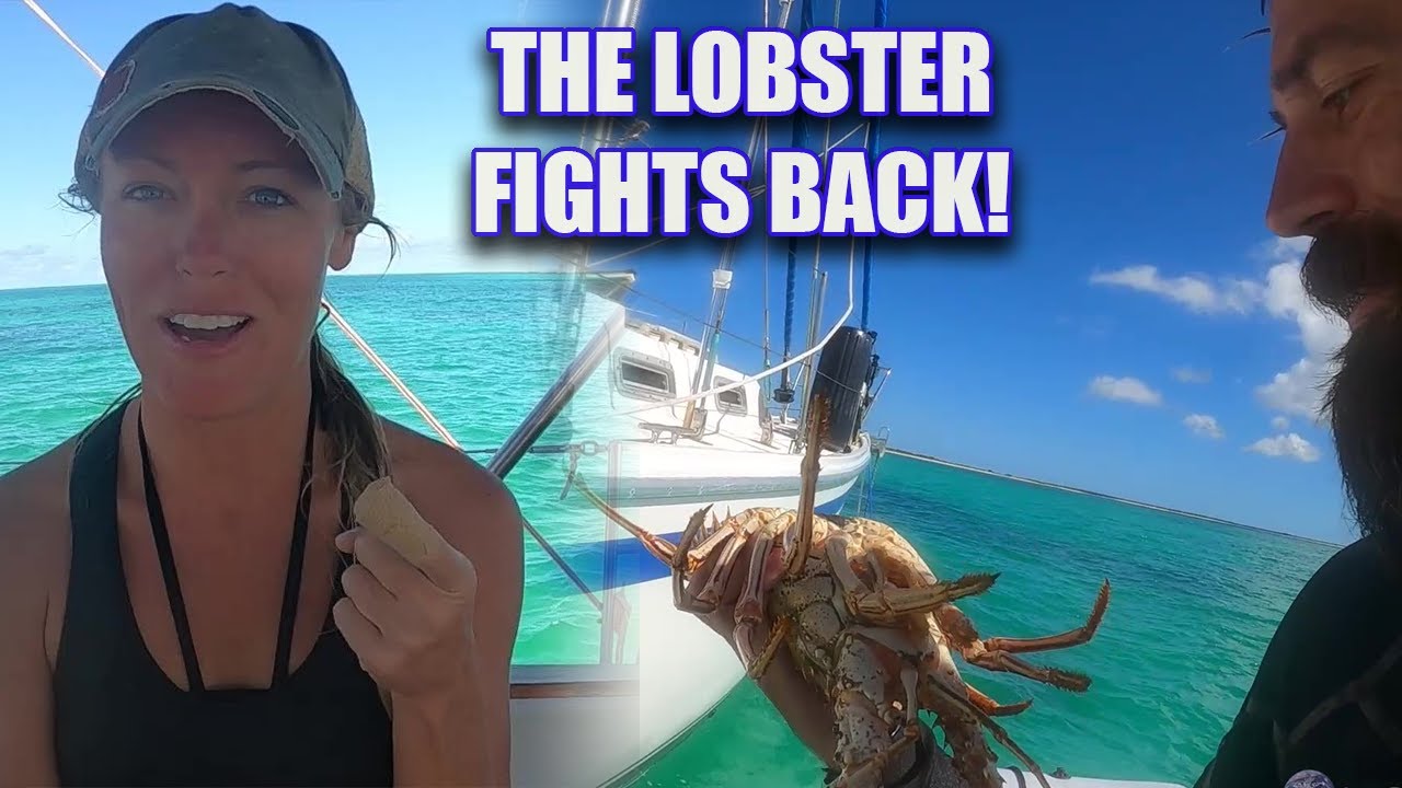 Brooke Got Attacked by a Lobster! - Sailing Barbuda - Episode 25