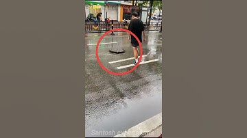 He Never Expected THIS After Fixing a Manhole Cover! 🤯😳 #Unbelievable