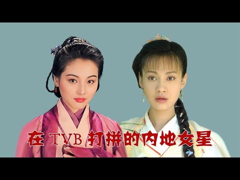 在TVB打拼的内地女星，杨雪让人念念不忘，冯晓文高开低走边缘化