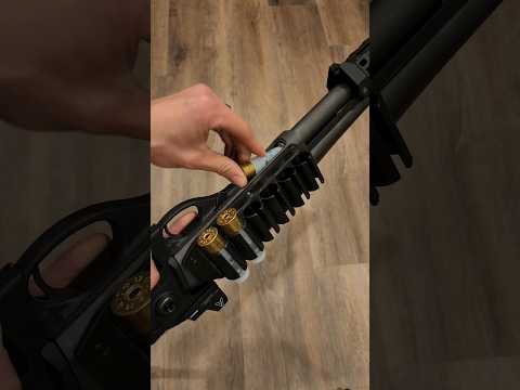Shotgun ASMR #asmr #shotgun