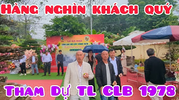 Không gian sang trọng tạo nên cuộc TL đẳng cấp để lại dấu ấn khó phai cho làng cây của CLB 1978