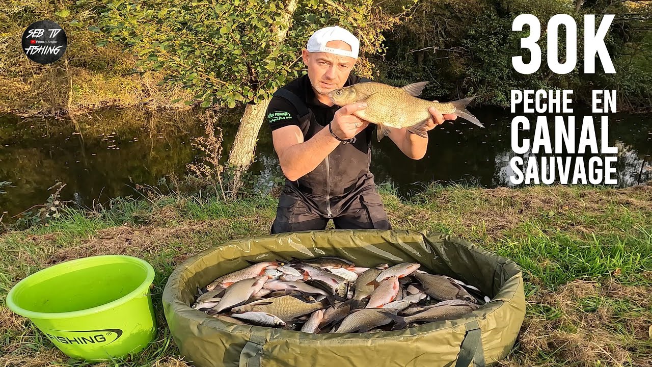 6 ans après, je retourne pêcher sur ce canal sauvage, je fais 30 kilos de poissons !
