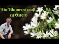 Ein Blumenstrauß zu Ostern - Frohe Ostern in die Wilde Welt! 😌💚 #natur #botanik #vögel