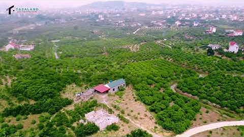 Vườn đẹp - giá rẻ tại Lục Ngạn, Bắc Giang