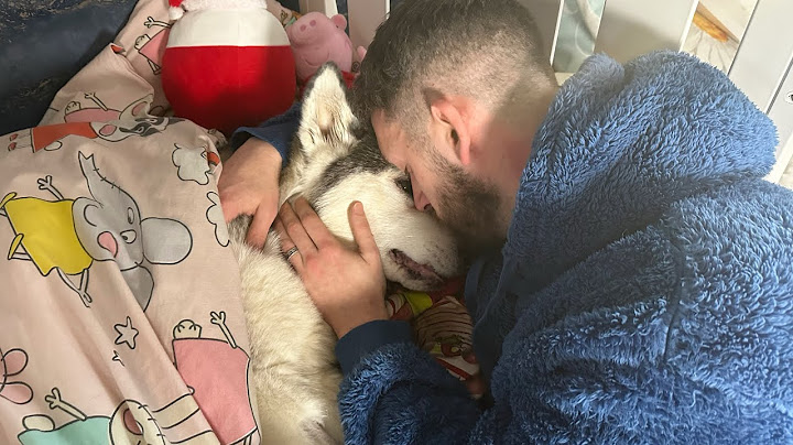 Our Families Final Goodbye To Millie.😭💔. [EMOTIONAL]