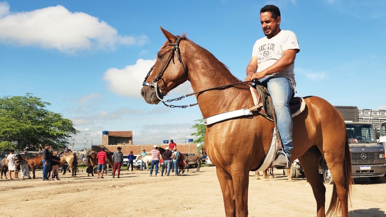 FEIRA DE CAVALOS EM CACHOEIRINHA-PE  05-03-2026 #nordeste