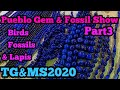 Tucson Gem And Mineral Show 2020 Pueblo Gem and Fossil Show Part 3