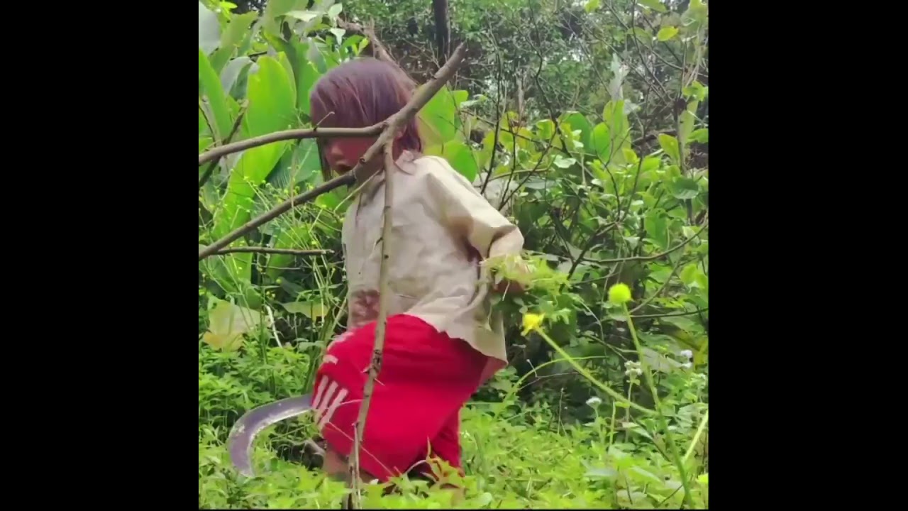 Little Anh Picked Wild Vegetables to Sell for Food | Little Anh Survival Life