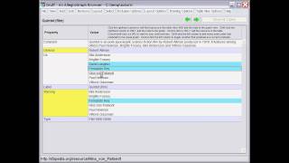 AllegroGraph View