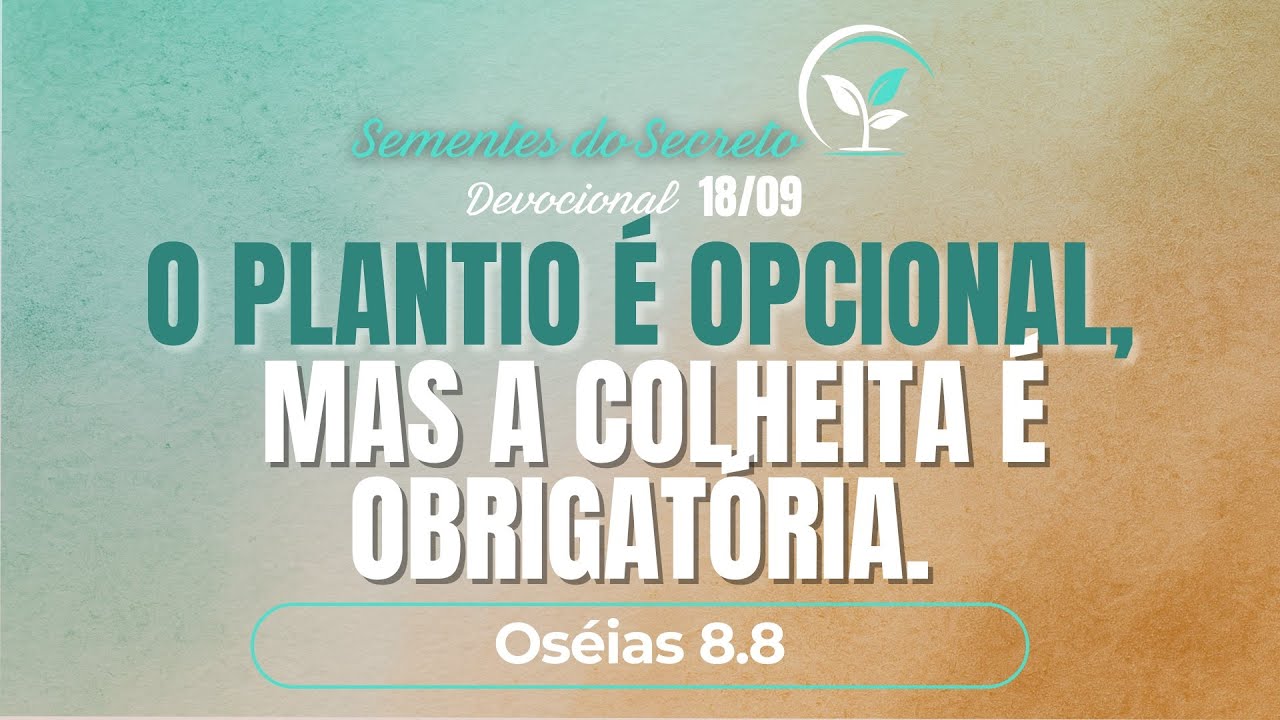 SEMENTES DO SECRETO | O PLANTIO É OPCIONAL, MAS A COLHEITA É ...