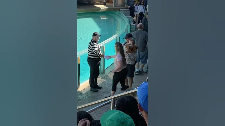 The crowd’s reaction was priceless! 😂 Tom mime Seaworld #seaworldmime #funny #tomthemime #shorts