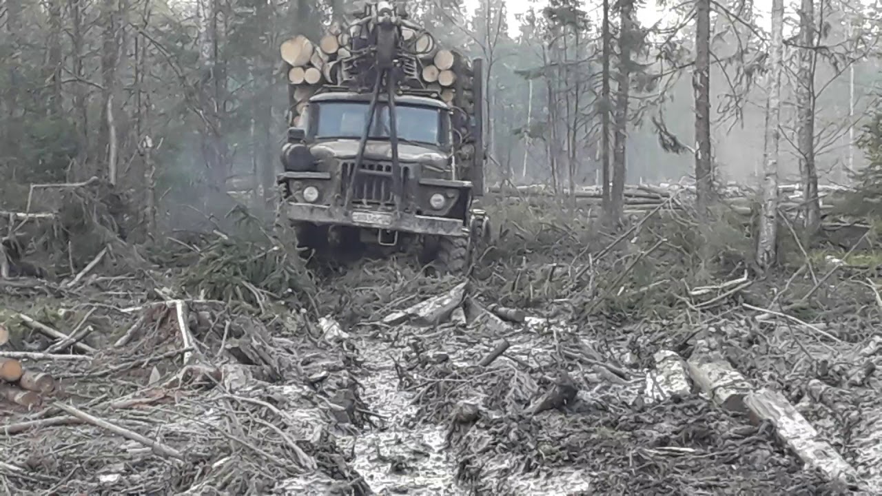 Урал-машина. Выезжаем груженые - YouTube