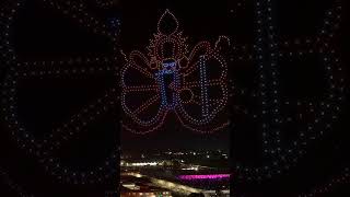 Throwback to our #Krishna #janmashtami Show from last year! #botlabdynamics #droneshow