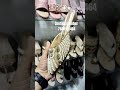 #ladiesfootwear #fashion #sandals the lady shoes 👟Add.old post office road Chandni market hasanpur