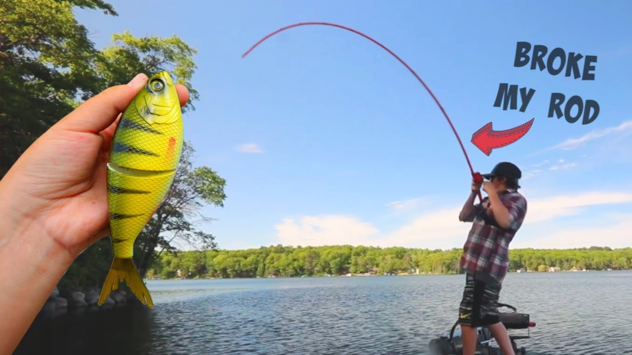 large glide baits