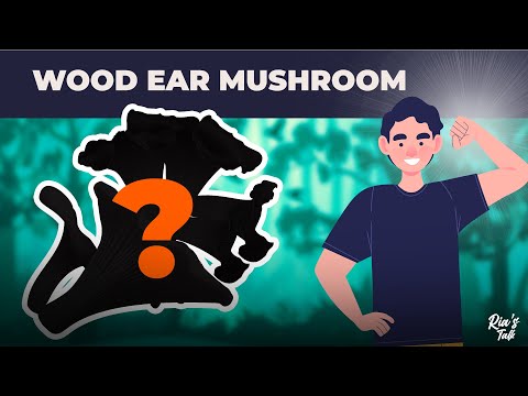 Surprising Benefits of Black Fungus (Wood Ear Mushrooms)