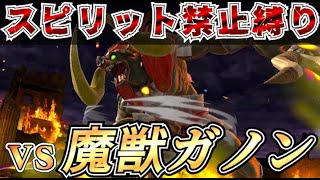 【灯火の星】スピリット縛りボスラッシュ 魔獣ガノン編【スマブラSP】