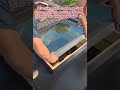 Professional Custom Skylight Installation