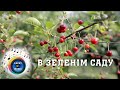 В зеленім саду LuckyUAMusic Пісня кохання молодості