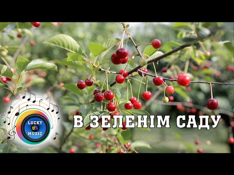 В зеленім саду LuckyUAMusic Пісня кохання молодості
