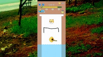 Save The Doge Level 11-20 Gameplay || Ridzie