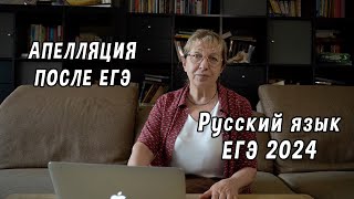 Апелляция после ЕГЭ, в каком случае можно подавать