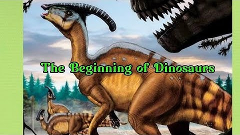 The Beginning of Dinosaurs