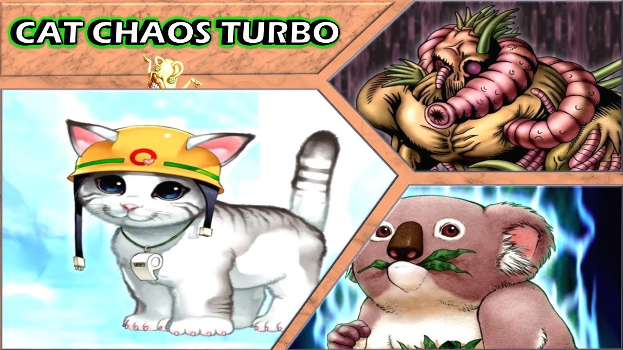 Cat Chaos Turbo + Bonus |Yu-Gi-Oh! Ultimate Masters World Championship ...