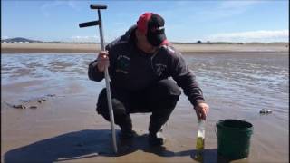 Sea Angling Adventures Presents :The Art Of Bait Pumping