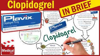 Clopidogrel ( Plavix 75 mg ): What is Clopidogrel Used For, Dosage, Side Effects & Precautions?
