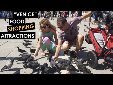 Video: The Top Things to Do with Kids in Venice