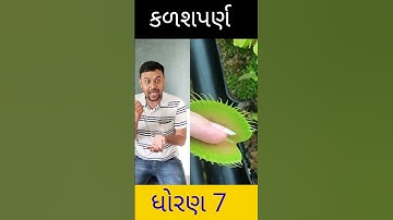 કળશપર્ણ #shorts #ytshorts