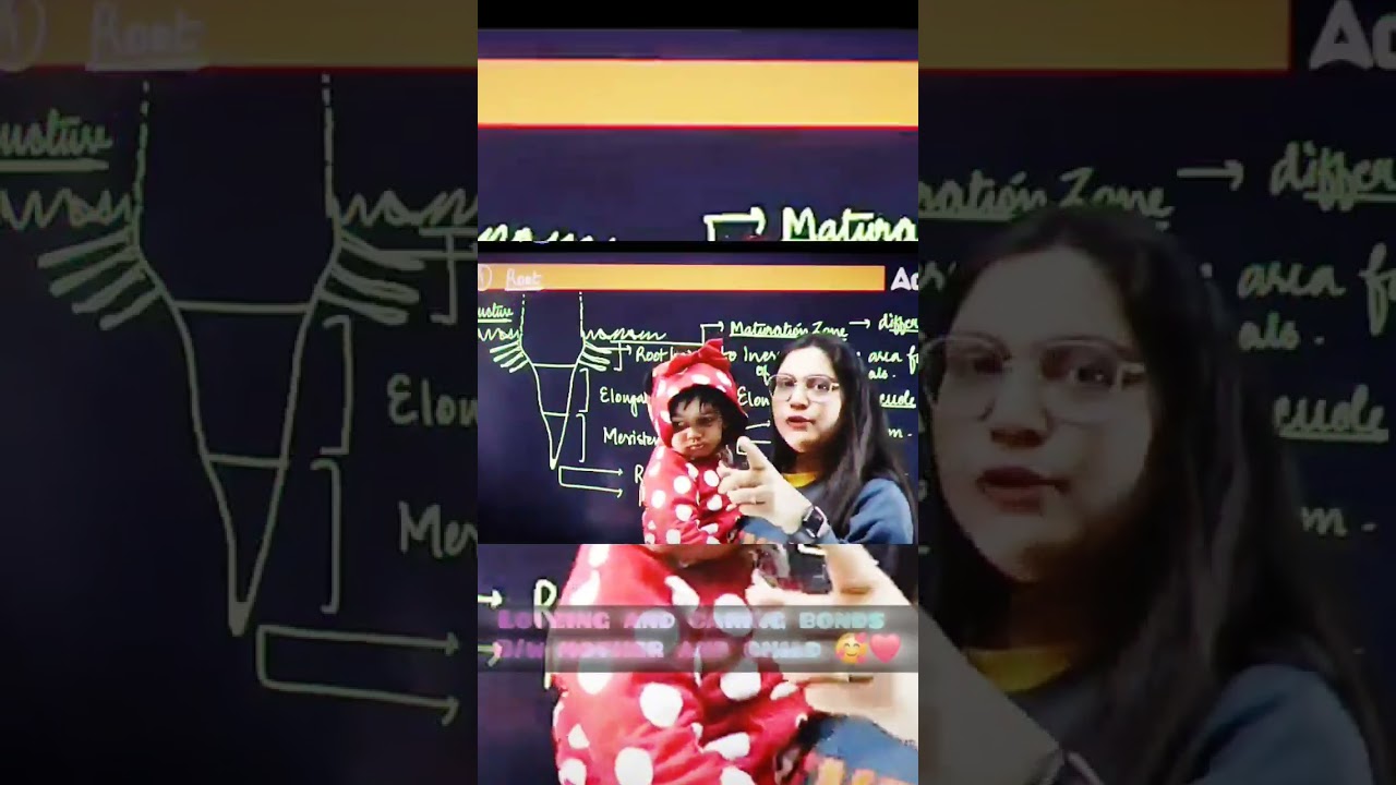 all rounder best teacher/ ~~~