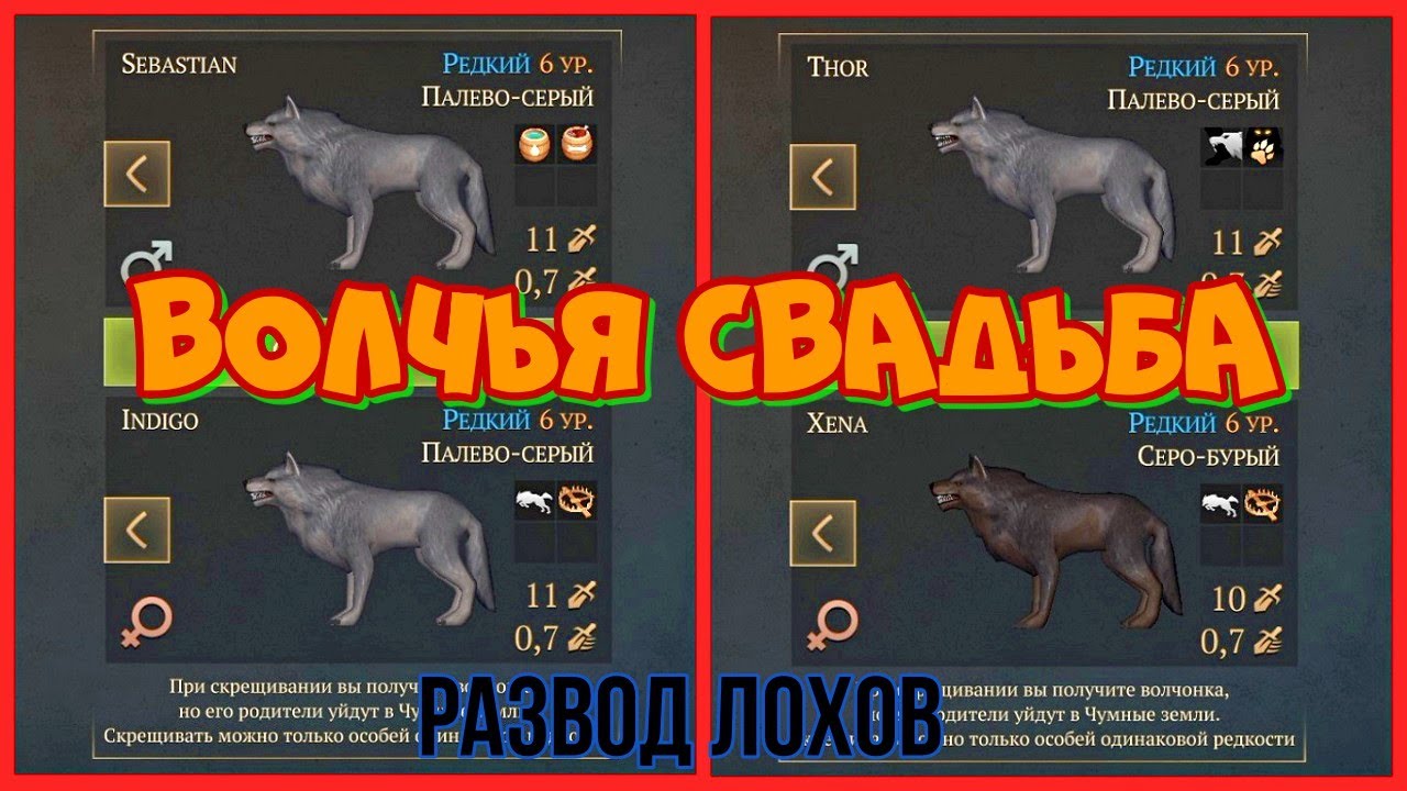 Грим соул. СКРЕЩИВАНИЕ ЛЮТОВОЛКОВ редкой породы. - YouTube