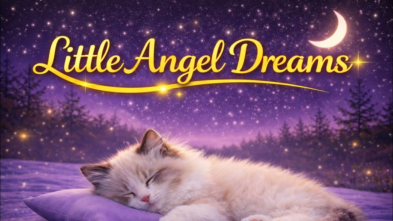 Calming Music for Cats 🐾 12 Hours | Deep Sleep & Anxiety Relief