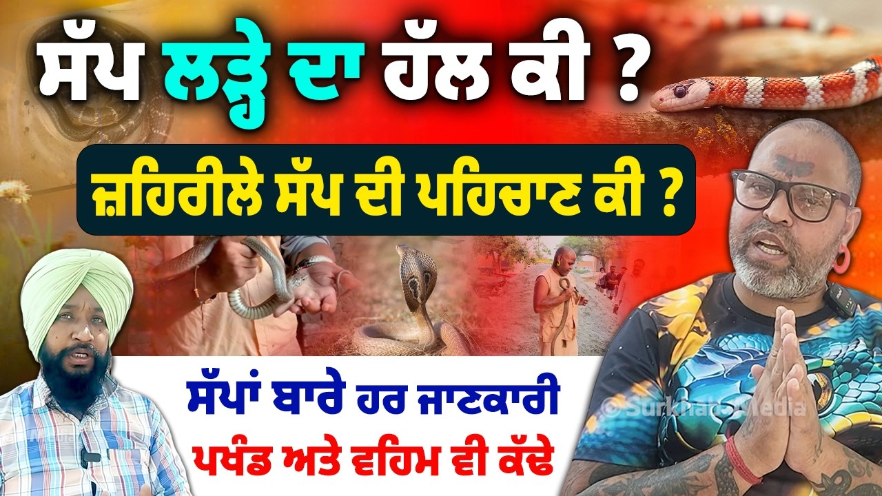 ⁣Fear to Facts 🐍 ਸੱਪਾਂ ਬਾਰੇ ਰੌਚਿਕ ਜਾਣਕਾਰੀ | Which Snakes Are Dangerous + Bite Treatment”