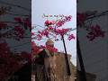 Day In My Life✨️🌸|| Mini Vlog #dayinmylife#minivlog#viral#fyp#everydaylife#trending#shorts#dailyvlog