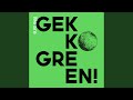 We are GEKKO GREEN