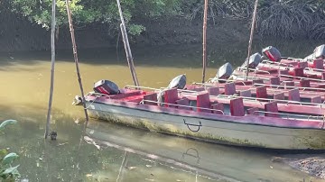 Chiến Khu Rừng Sác. Cá Sấu , Khỉ ., Nhiều Hơn Cả trong Phim Ảnh