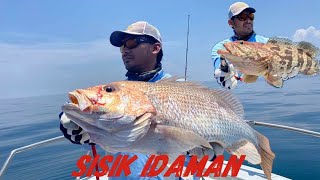 Slow Jigging Malaysia Slow Pitch Jigging Kerapu Sungai Besar [Shimano Ocea Jigger]