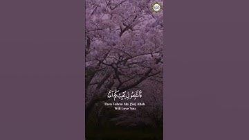 سورة آل عمران قارئ الشيخ / فارس عباد