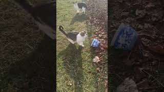 Download Lagu But many that are first shall be blessed last and the last shall be first Matthew19:30? MP3