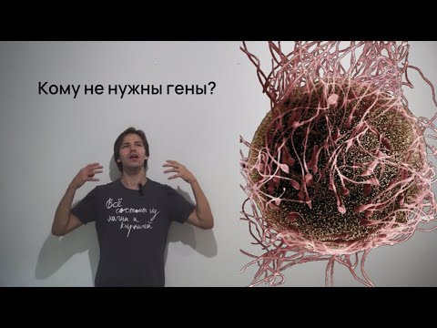 Новости науки. Как наследуются митохондрии