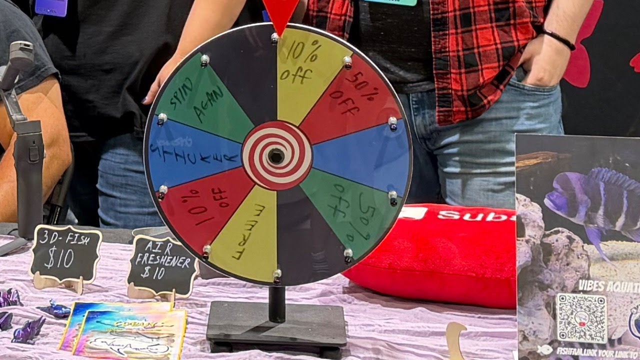 Aquashella Recap!