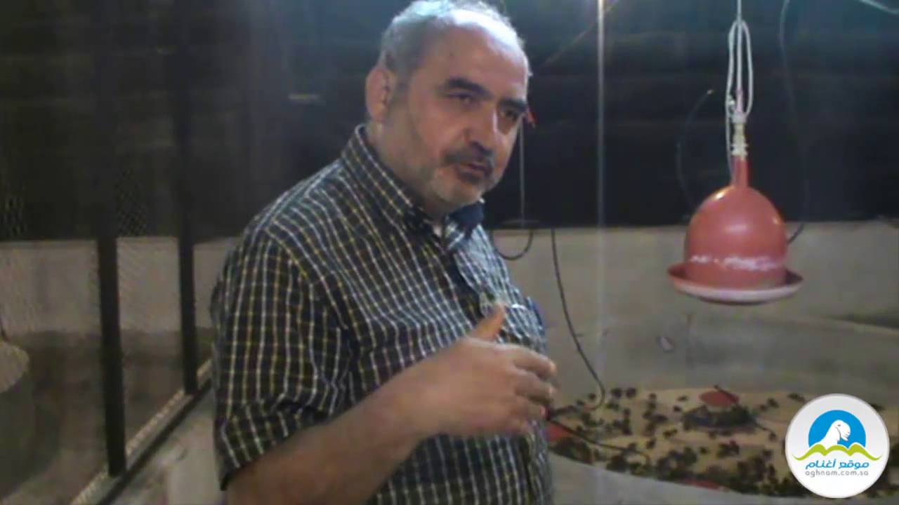 زيارة لمزرعة الشريف فؤاد لتربية السمان (الفري)