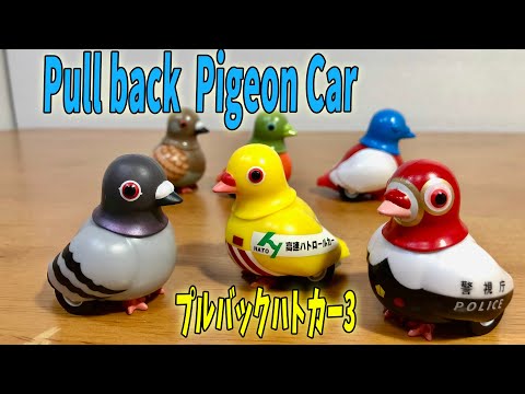 The movements are super cute! Pull back pigeon car 3 - Complete introduction of all 6 types of ga...