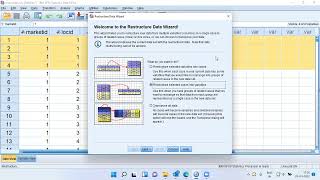 Celebrity How to restructure the data in SPSS? Wealth