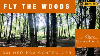 Fly the Woods with the Neo #drone #djineo