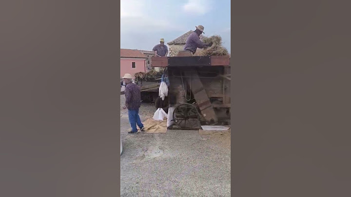U bojama tradicije - žetvena svečanost u Brtonigli